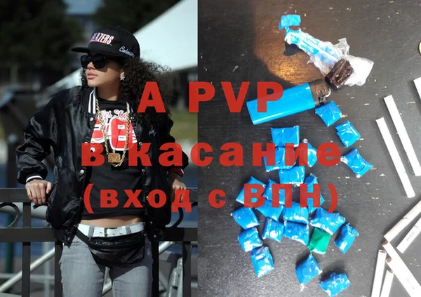 индика Новокубанск