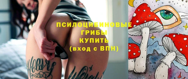 a pvp Алексин
