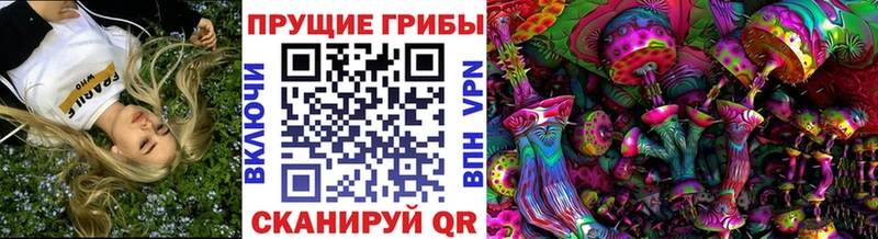 Псилоцибиновые грибы GOLDEN TEACHER  дарнет шоп  Воронеж 